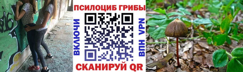 Галлюциногенные грибы мухоморы  Чёрмоз 